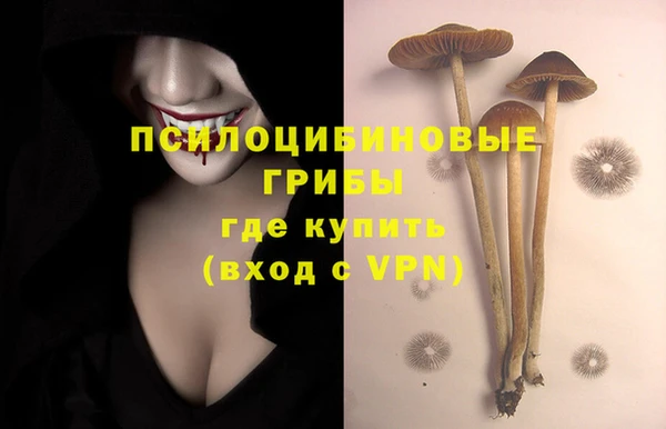 таблы Аркадак