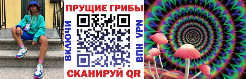 наркота  Суровикино  Псилоцибиновые грибы мухоморы 